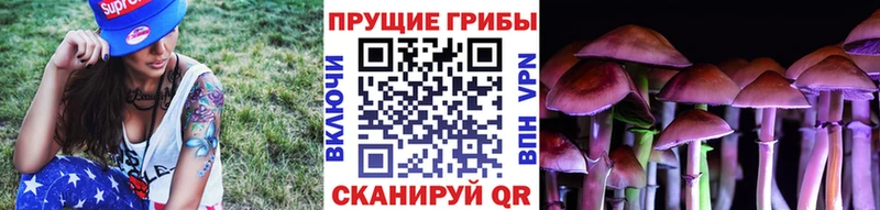 Галлюциногенные грибы мицелий  купить наркотик  Гай 
